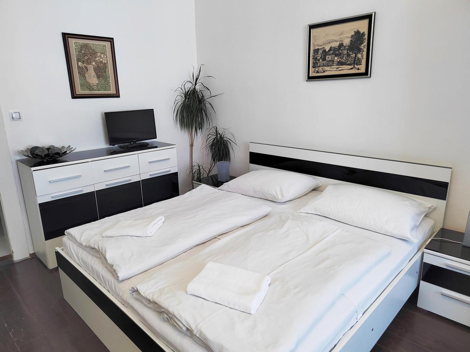 Tower Apartment براغ المظهر الخارجي الصورة